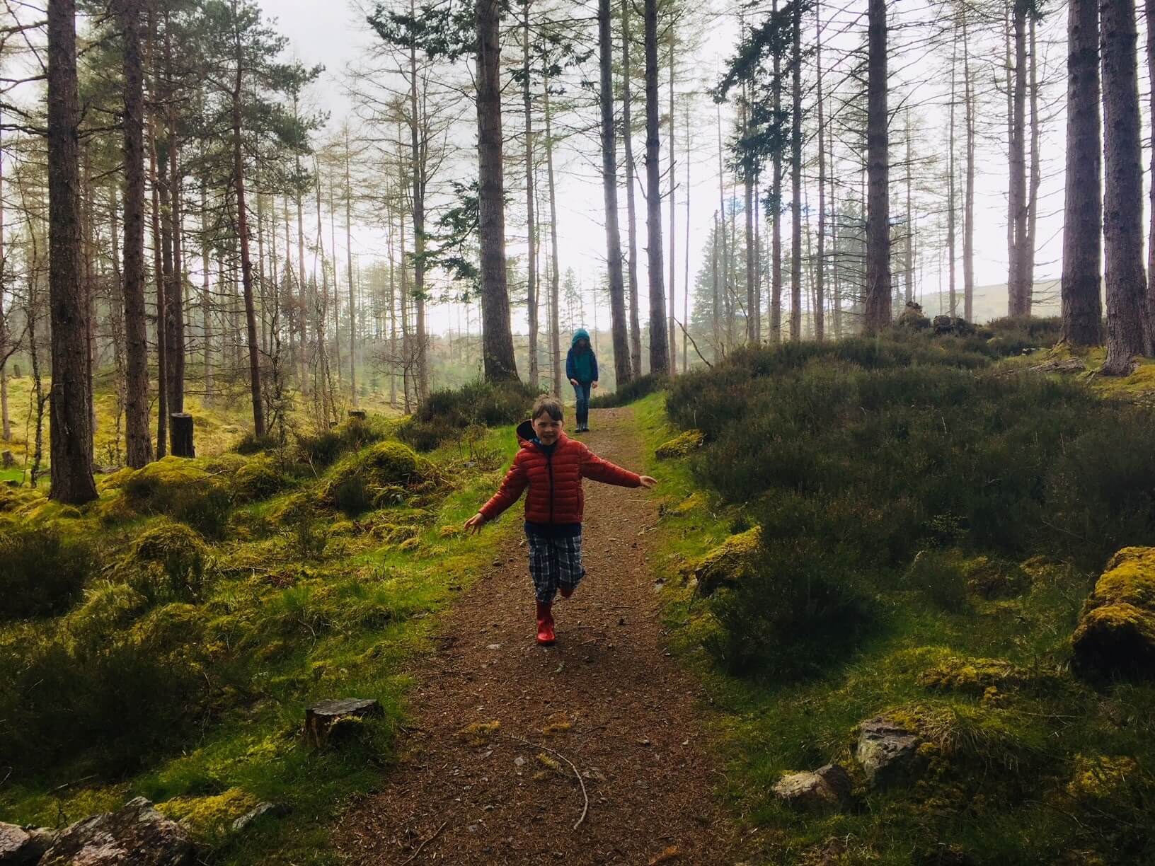 Woodland Walks